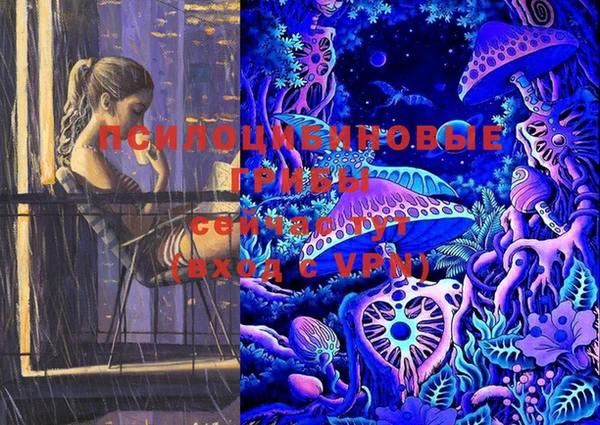 твердый Ростов