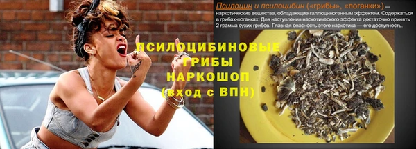 твердый Ростов