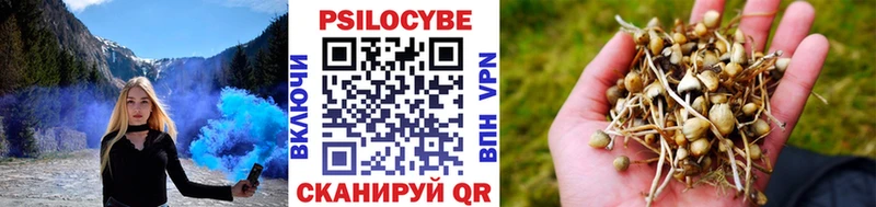 Псилоцибиновые грибы MAGIC MUSHROOMS  Купить где  Орехово-Зуево 